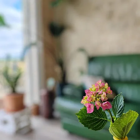 A La Ferme Le Mouyne Сasa de vacaciones